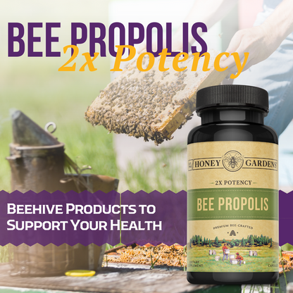 Bee Propolis