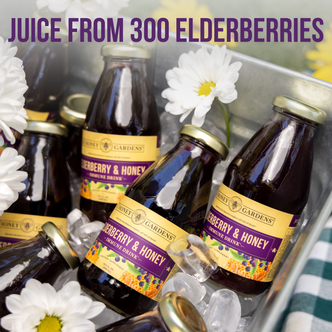 Elderberry Honey Immune Drink (8 Pack)