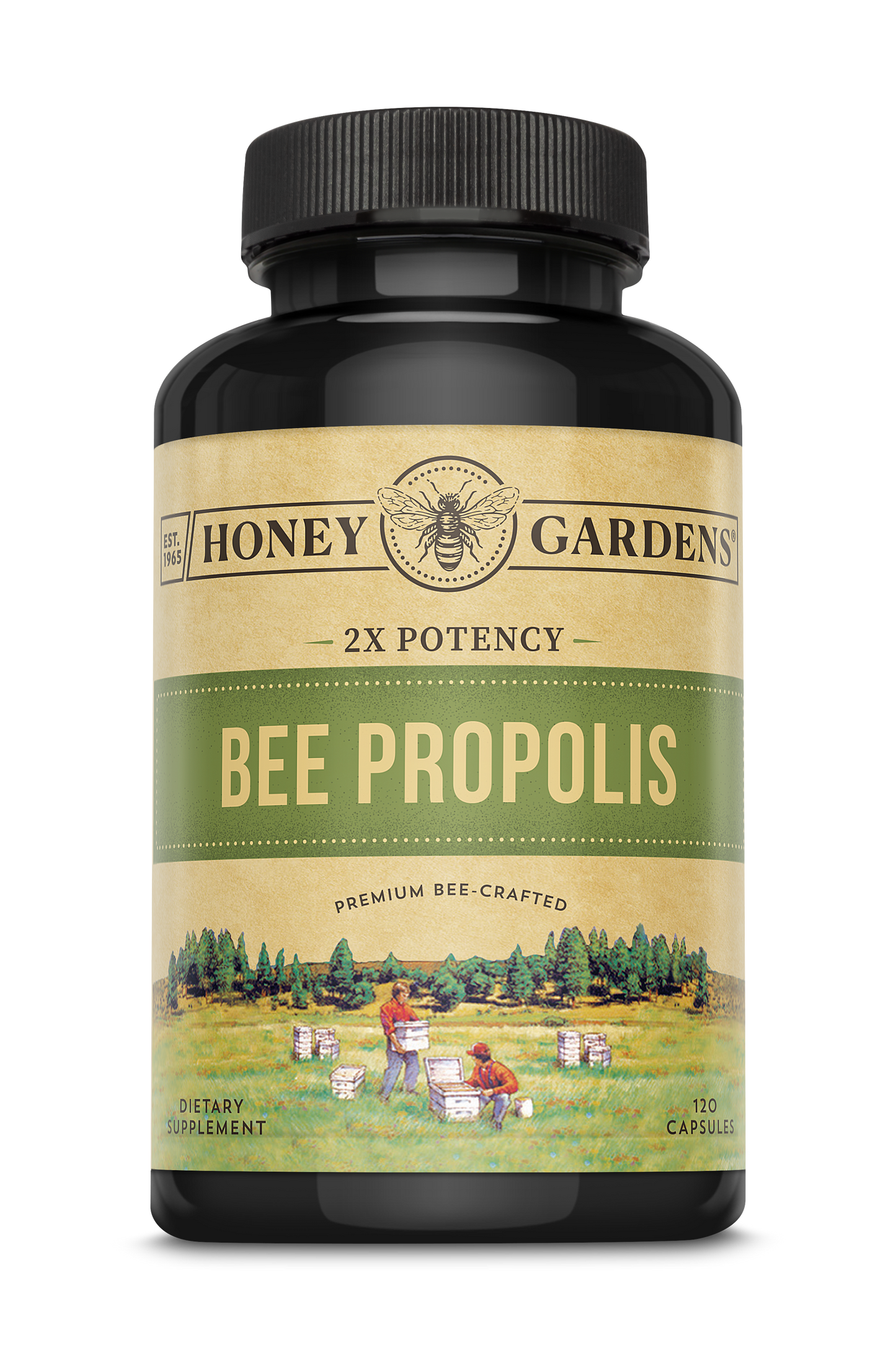 Bee Propolis